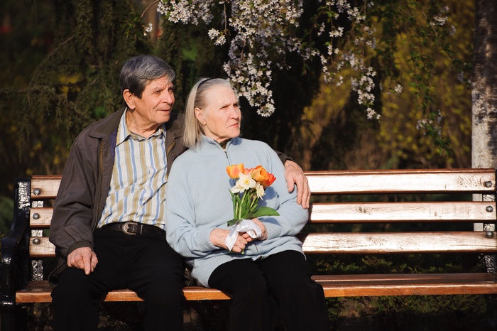 senior dating
