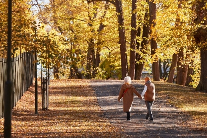 兵庫県の中高年の出会い - SeniorMatchでソウルメイトを見つけましょう