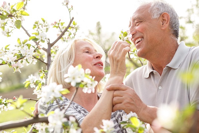 Senior Dating