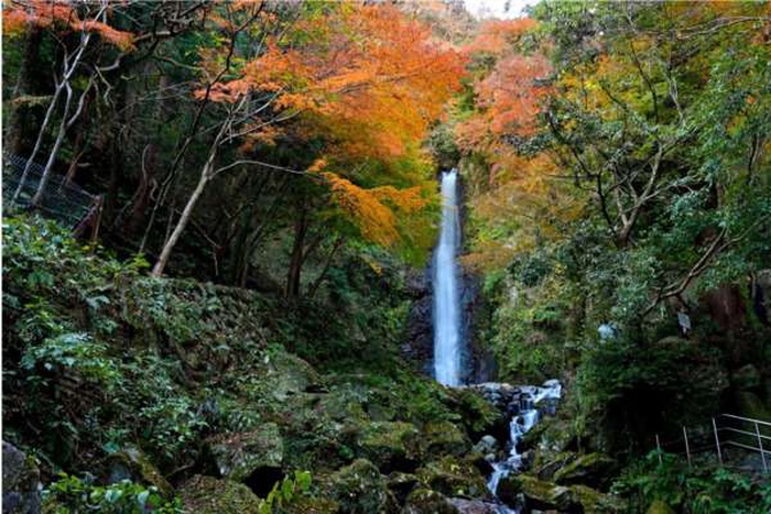senior dating in Gifu join SeniorMatch today