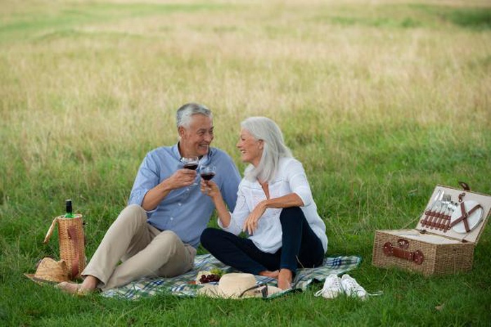 Mature senior couple toasting red wine on outdoor picnic, over 50 romantic dating lifestyle