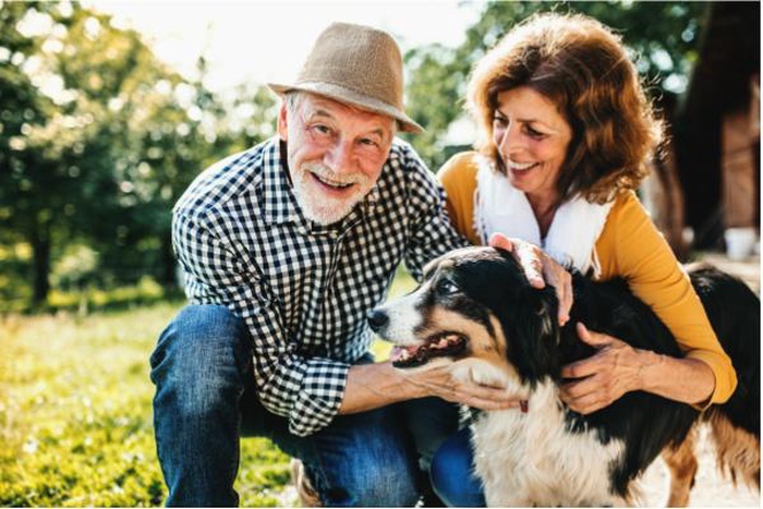 A senior couple crouching and petting a dog