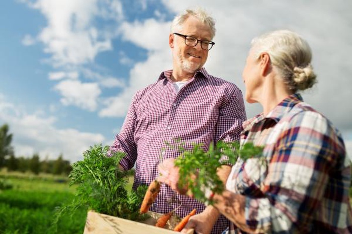  senior couple  with box of carrots at farm