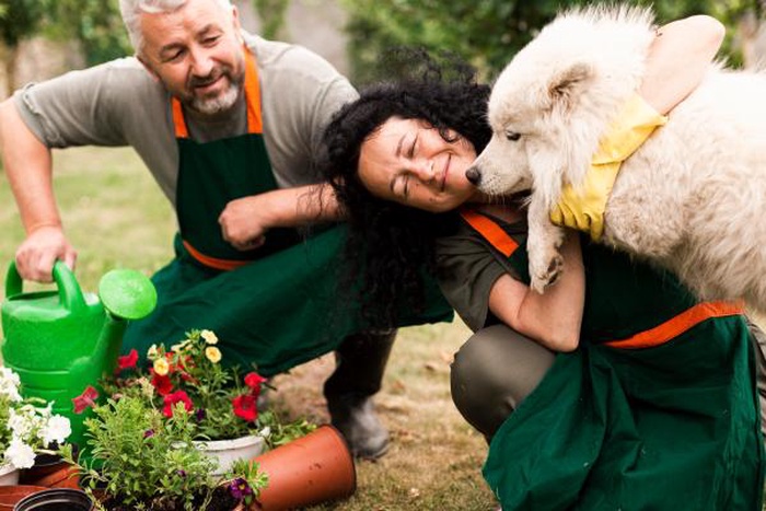 Senior couple gardening with their dog on a cozy date