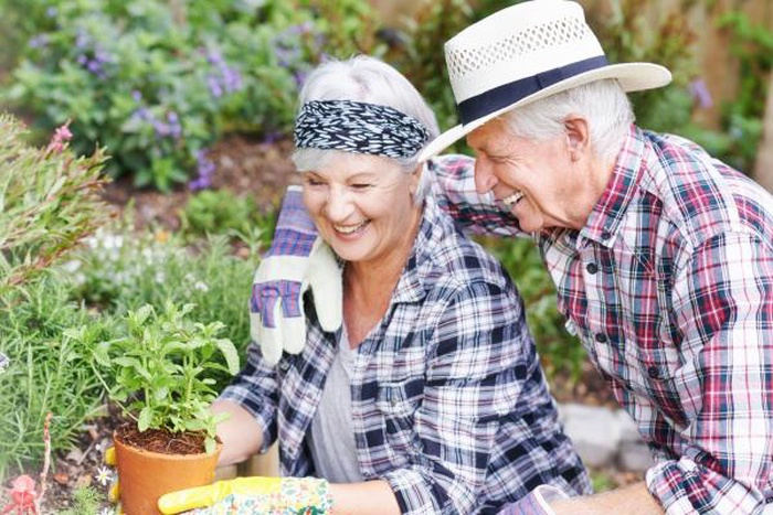60+ older couple gardening outdoors, joyful mature seniors sharing hobby, sincere companionship lifestyle for singles over 50
