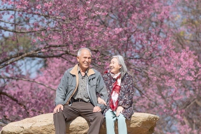 senior dating in nagoya