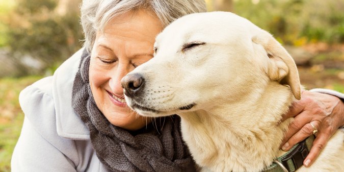 what-are-the-best-pets-for-seniors